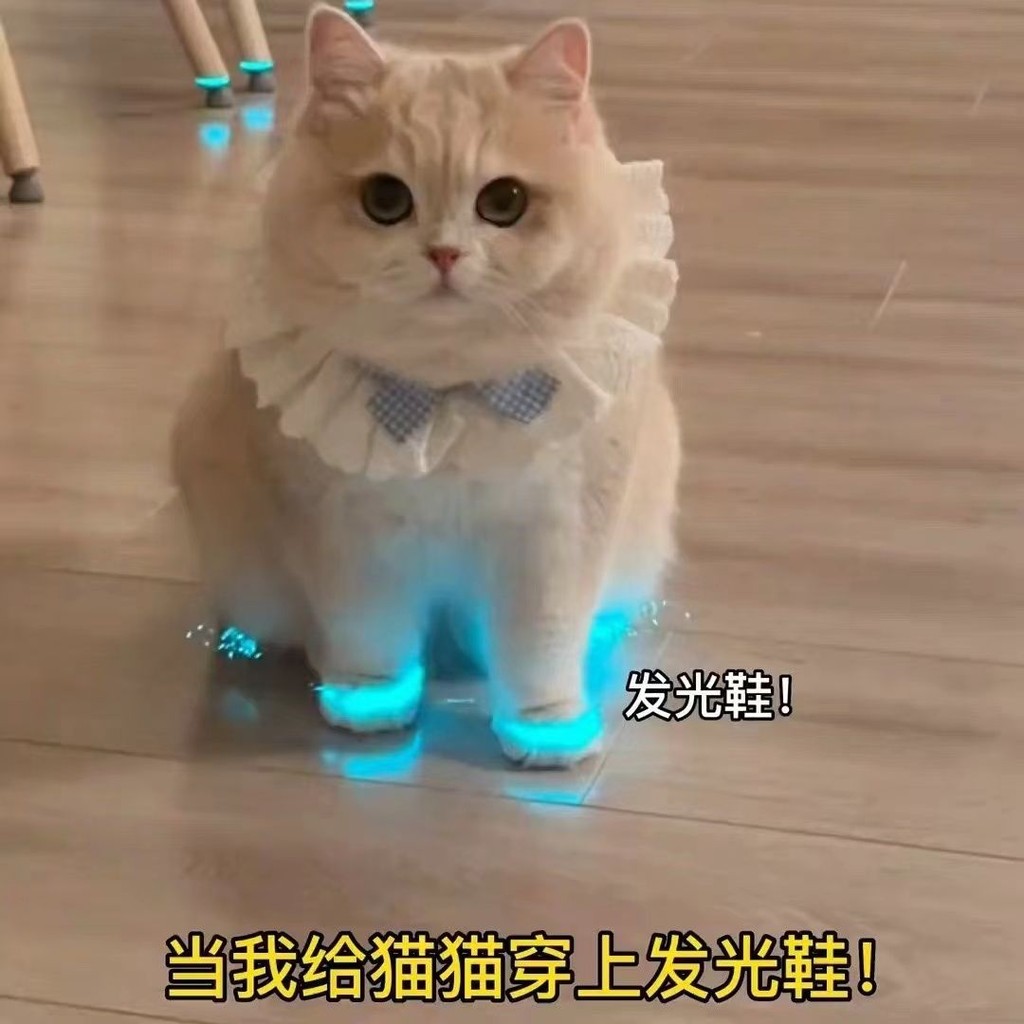 猫咪发光鞋玩具狗狗鞋宠物宝宝鞋子夜光儿童玩具夜间拍视频配饰用Cat glowing shoes, toy dog shoes, pet baby shoes20250509