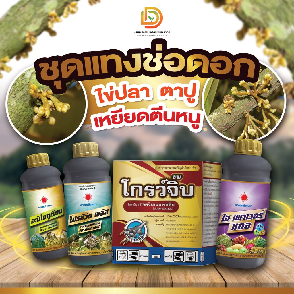 #ชุดแทงช่อดอก ระยะไข่ปลา ตาปู เหยียดตีนหนู #ดวงตะวันเพชร ( อะมิโนทุเรียน+โปรซีวีดพลัส+ไฮพาวเวอร์เเคล+จิ๊บ20% )