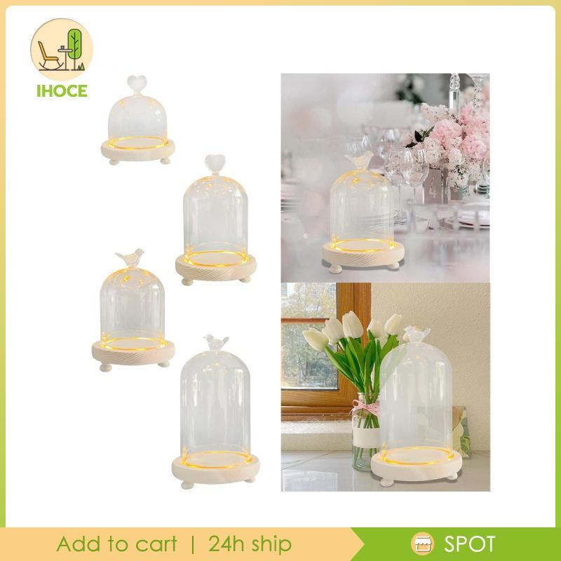 [Ihoce] Glass Cloche Dome Cloche Dome Micro Landscape Holder ตู้โชว์ Nordic Table