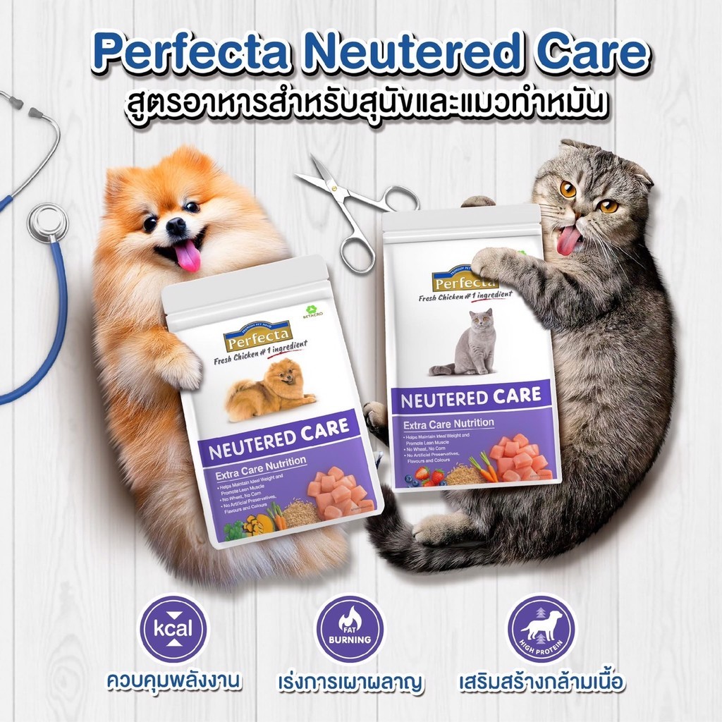 Perfecta เพอร์เฟคต้า อาหารแมวขนาด 400 กรัม - รูปที่ 3