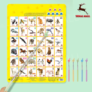 ไม้ชี้ ไม้ชี้ไวท์บอร์ด ไม้ชี้นิ้วมือ แบบยืดหดได้ pointer presentation อุปกรณ์ช่วยสอน Multifunction Teaching Stick