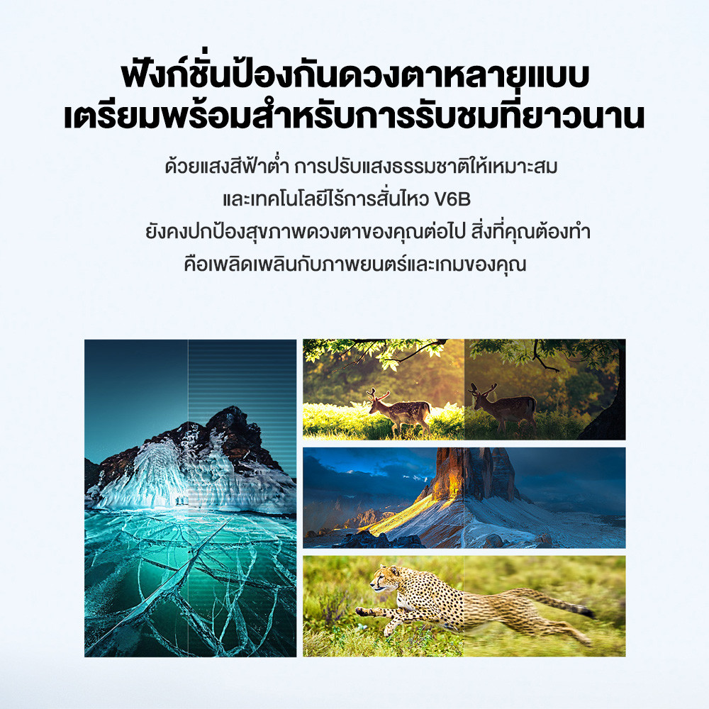 รูปภาพ 8