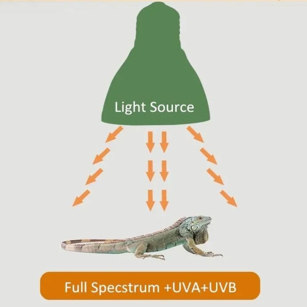 Harriett หลอดไฟสัตว์เลื้อยคลาน, LED เต็มสเปกตรัม 5.0/10.0 โคมไฟ Terrarium, ส่งเสริมแสงการเจริญเติบโต UVA UVB E27 สัตว์เลี้ยงขนาดเล็กหลอดไฟความร้อน Therapy Night Vision - รูปที่ 7