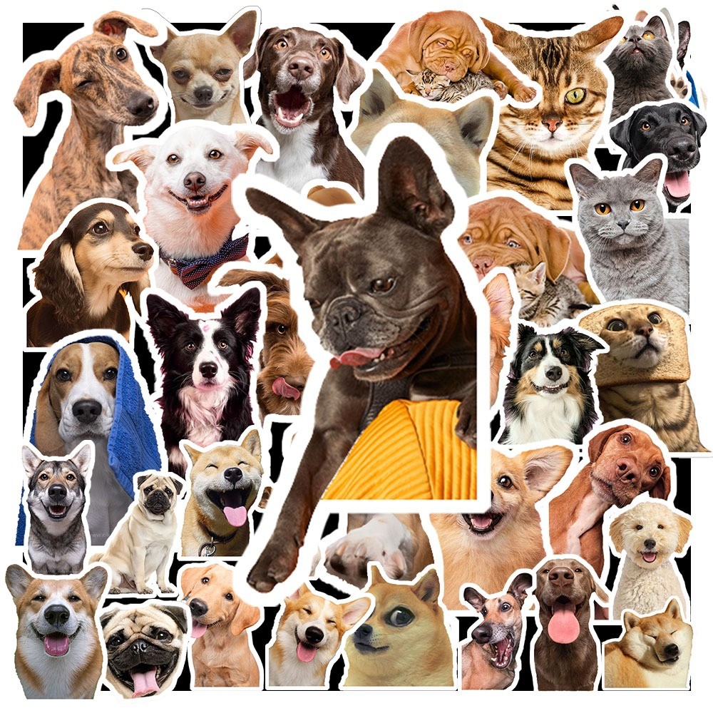 สติ๊กเกอร์ MEME DOG 50 ดวง | กันน้ํา | นางสาว: 000115