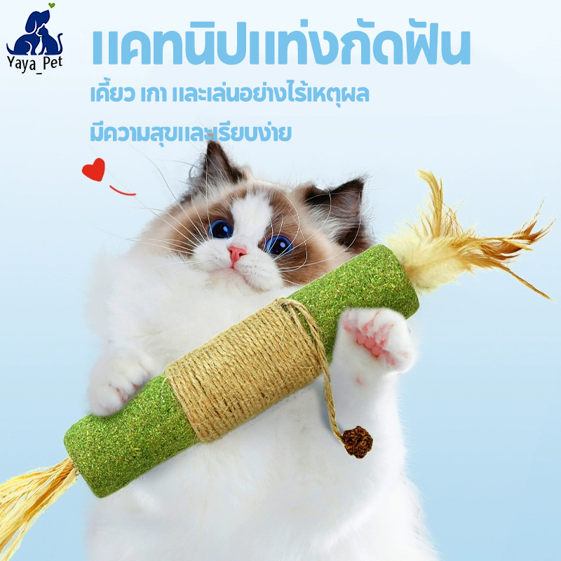 😻แท่งกัดฟัน แคทนิปแท่งกัดฟัน ของเล่นแมว ขัดฟันไม้ ช่วยทำความสะอาดฟัน ลดหินปูน - รูปที่ 4