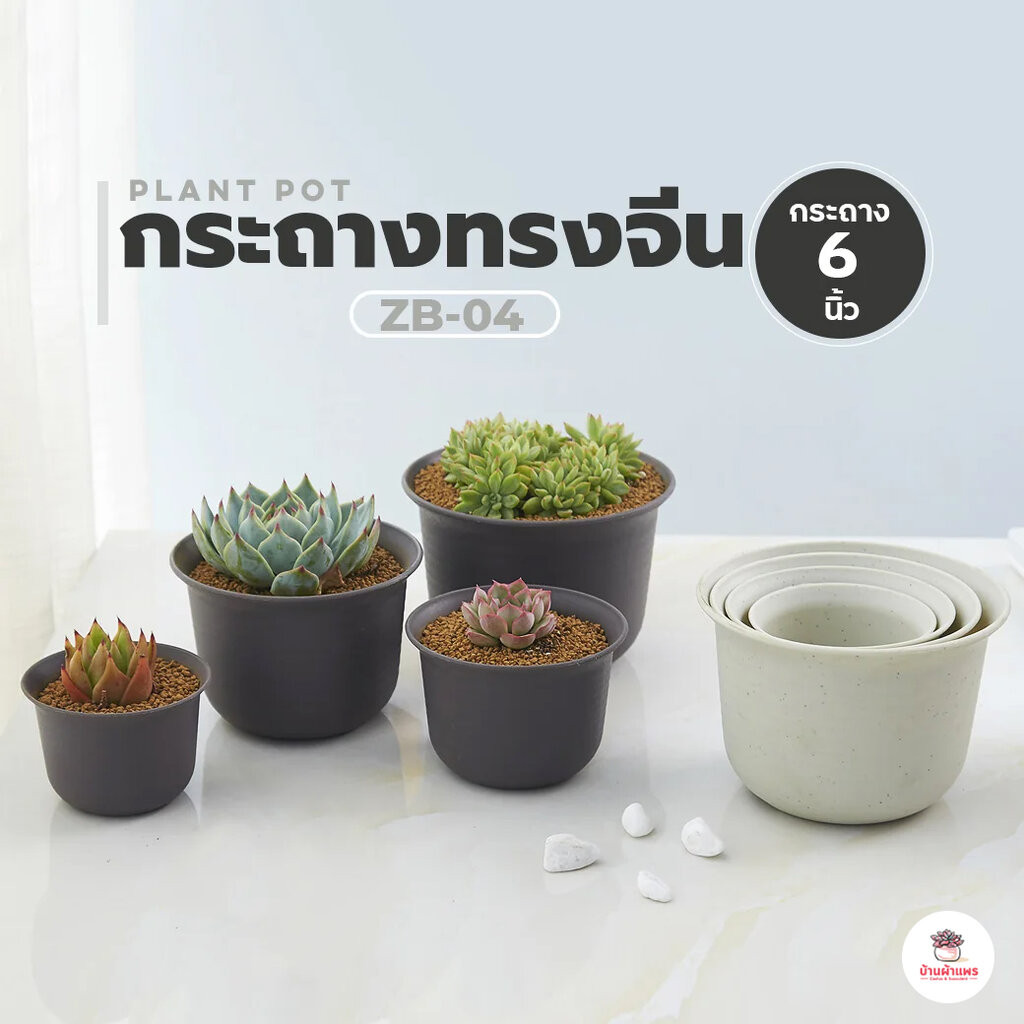 [ ZB-04 ] กระถางทรงจีน 6 นิ้ว กระถางพลาสติก แคคตัส กระบองเพชร ไม้อวบน้ำ Cactus&Succulent