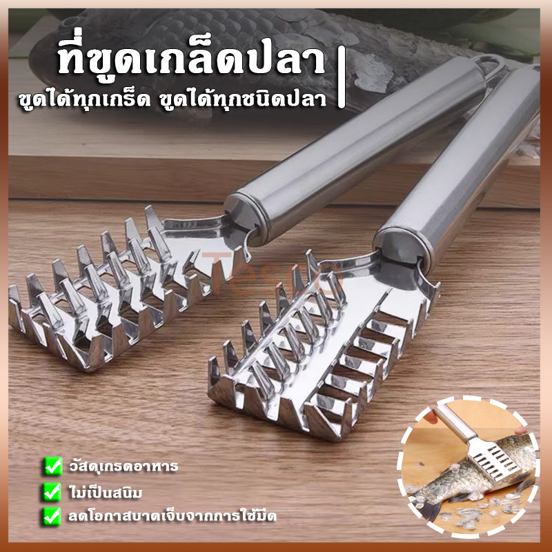 Tesco ที่ขูดเกล็ดปลา ที่ขอดเกล็ดปลา สแตนเลสไม่เกิดสนิม มีด้ามจับถนัดมือ