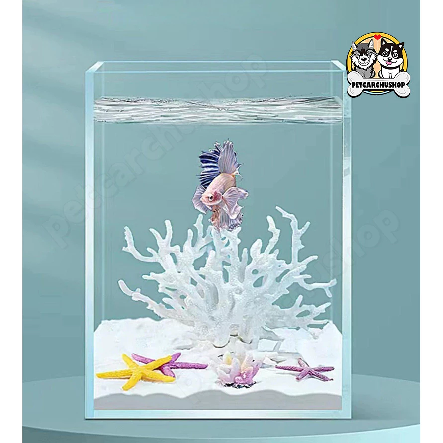 **🐠 ตู้ปลา ตู้ปลาเล็ก ตู้ปลากัด ตู้ปลาขนาดเล็ก โหลปลากัด เหมาะสำหรับสัตว์เลี้ยงขนาดเล็กทุกชนิด 🏠✨** thumbnail 9