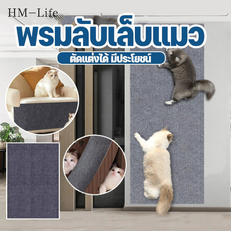 พรม Cat Claw Frosted เล็บกันฝน ติดผนัง พร้อมกาว ป้องกันรอยขีดข่วน คลังสินค้าไทย CW64
