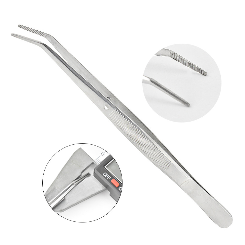 5pcs ทันตกรรมแหนบผ้าฝ้ายม้วนบรรจุคลิปสแตนเลสเล็บ Nippers Pincers Forceps เครื่องมือผ่าตัดทางการแพทย์