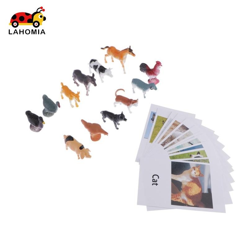 ลาโฮเมีย 12แพ็คเด็กเด็ก มอนเตสซอรี่ การเรียนรู้สัตว์สัตว์ปีกรุ่นและจับคู่การ์ด
