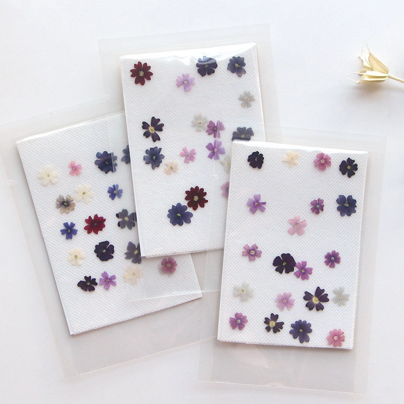 Mini Verbena Hybrida กดดอกไม้แห้งเครื่องประดับอีพ็อกซี่ทํามือแต่งหน้ากลีบใบหน้า