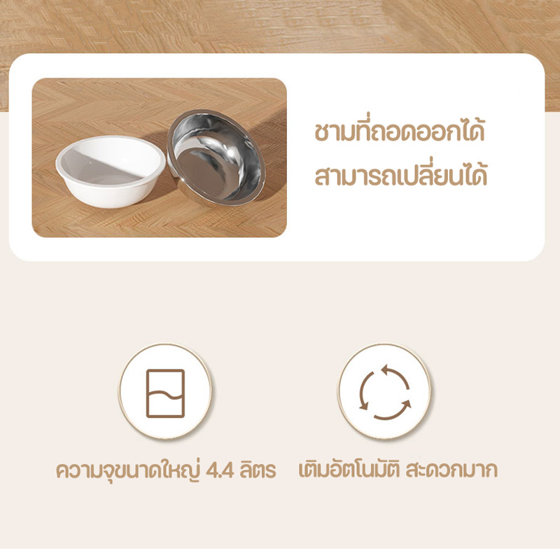 ที่ให้อาหารสัตว์เลี้ยง เกรดพรีเมี่ยม  ชามอาหารแมว ชามอาหารสุนัข ที่ให้อาหารอัตโนมัติ ราคา ถูกที่สุด ดีลบีเคเค แกลเลอรีภาพที่ 2