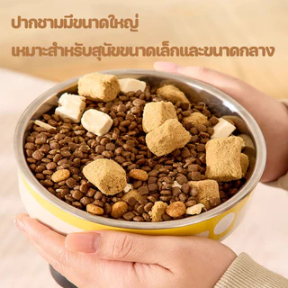 😻ชามสัตว์เลี้ยง ชามอาหารแมว ทําจากสแตนเลส ชามอาหารสุนัข มั่นคงและไม่ลื่น ทําความสะอาดง่าย