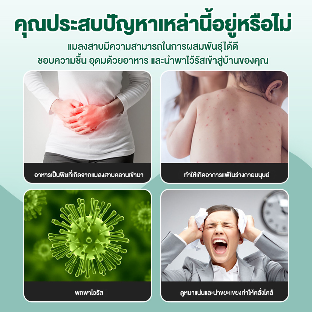 เจลกำจัดแมลงสาบ 10 กรัม เห็นผลรวดเร็ว เจลแมลงสาบ กำจัดแมลงสาบ แมลงสาบ บ้านแมลงสาบ - รูปที่ 2