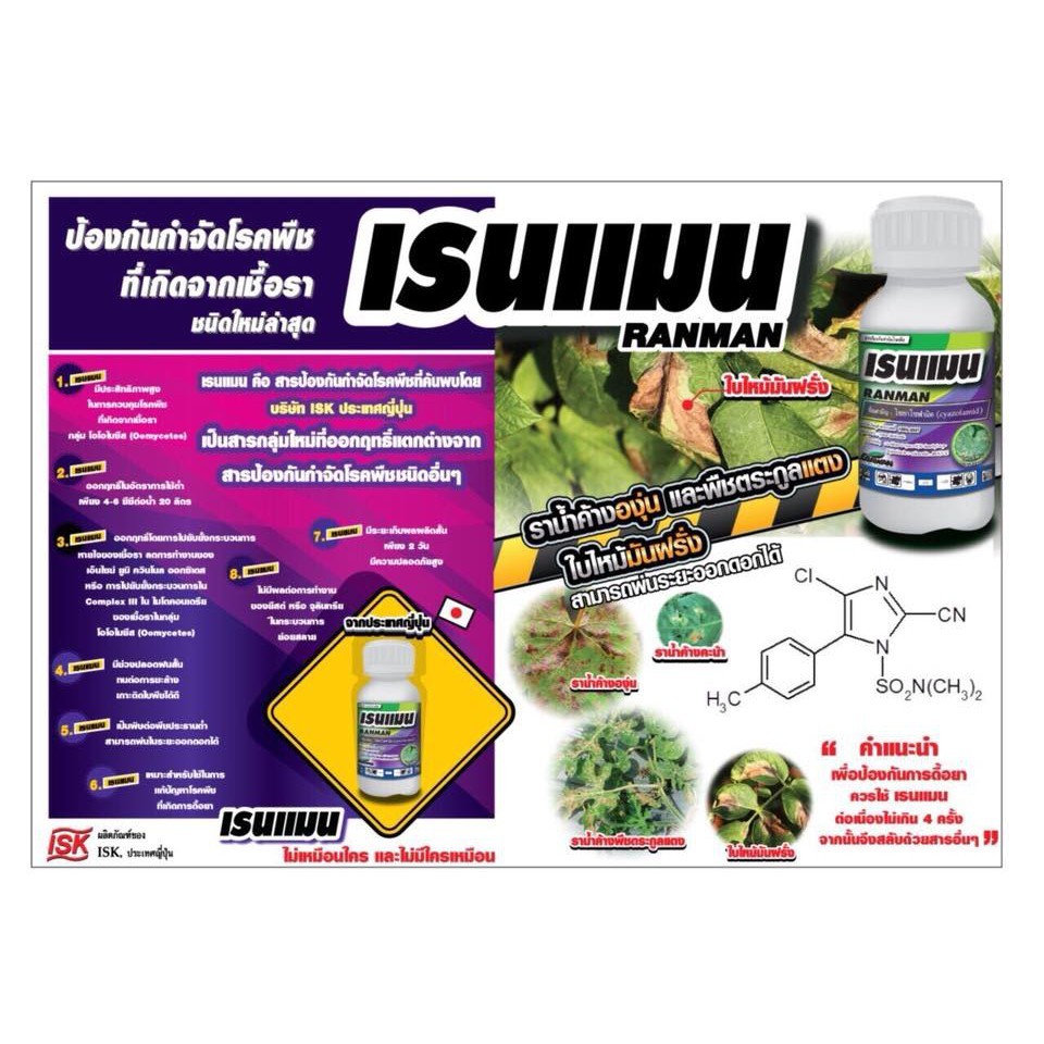 [100cc][Elefante] เรนแมน ไซยาโนามิด(Cyanofamid) สารป้องกันกำจัดเชื้อรากลุ่มใหม่ ราน้ำค้าง ไฟทอปเทอร่า 100ซีซี - รูปที่ 3