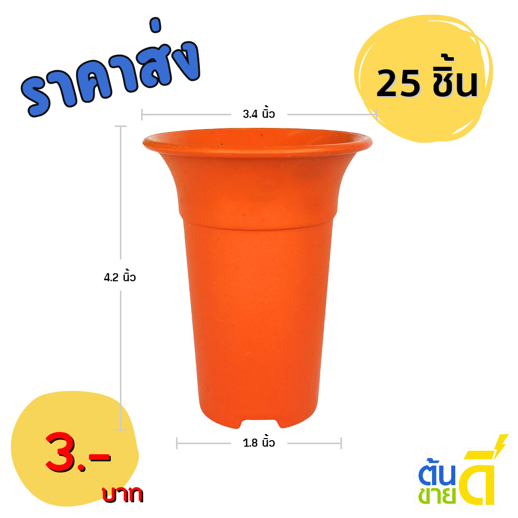 กระถาง กระถางแคคตัส กระถางปากแตร อย่างหนา 3 นิ้ว สีอิฐ 25 ใบ ชิ้น อัน