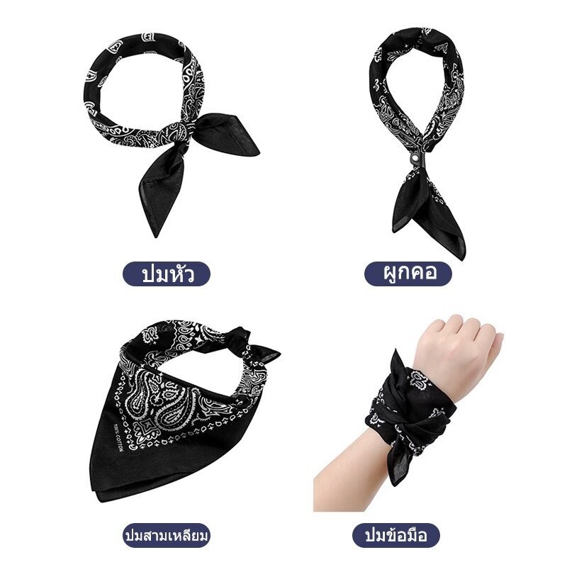 รูปภาพ 8