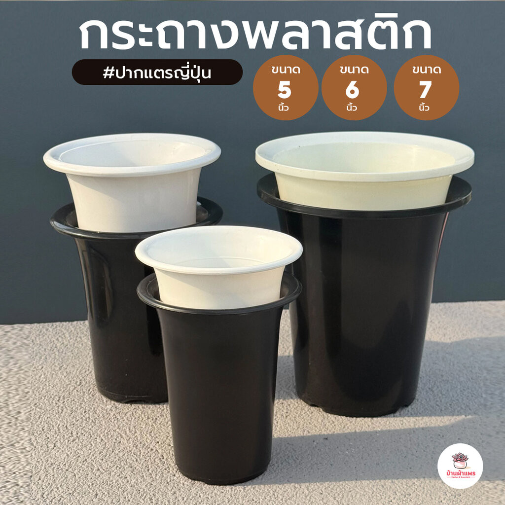 กระถางปากแตรญี่ปุ่น 5 นิ้ว -7 นิ้ว กระถางพลาสติก แคคตัส กระบองเพชร ไม้อวบน้ำ Cactus&Succulent