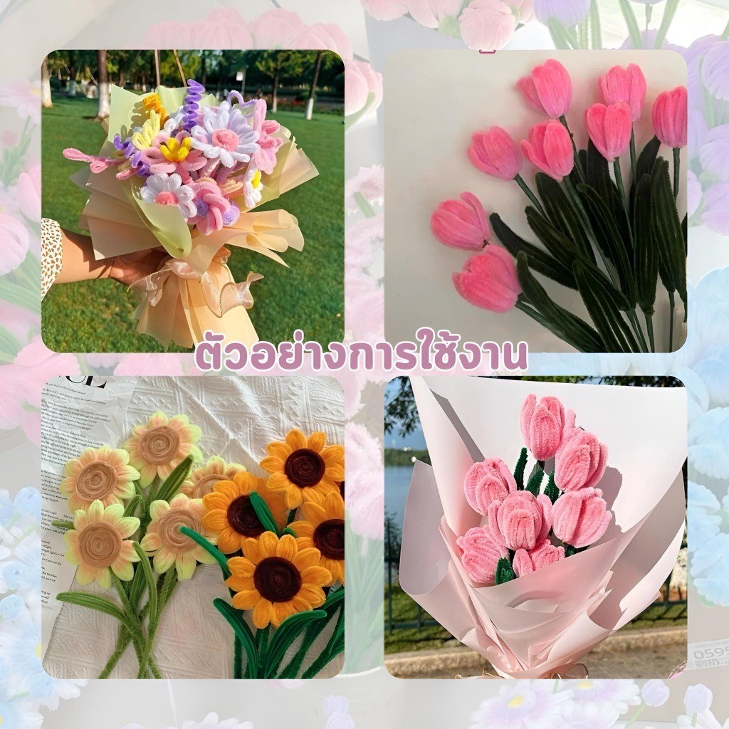 รูปภาพ 5