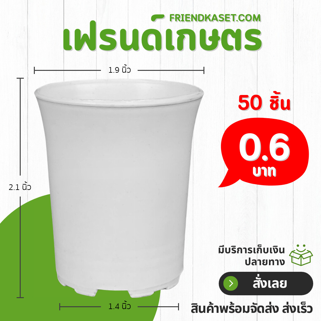 กระถาง กระถางต้นไม้ กระถางพลาสติก เบอร์ 2 1.9 นิ้ว สีขาว 50 ใบ ยกมัด ยกกระสอบ