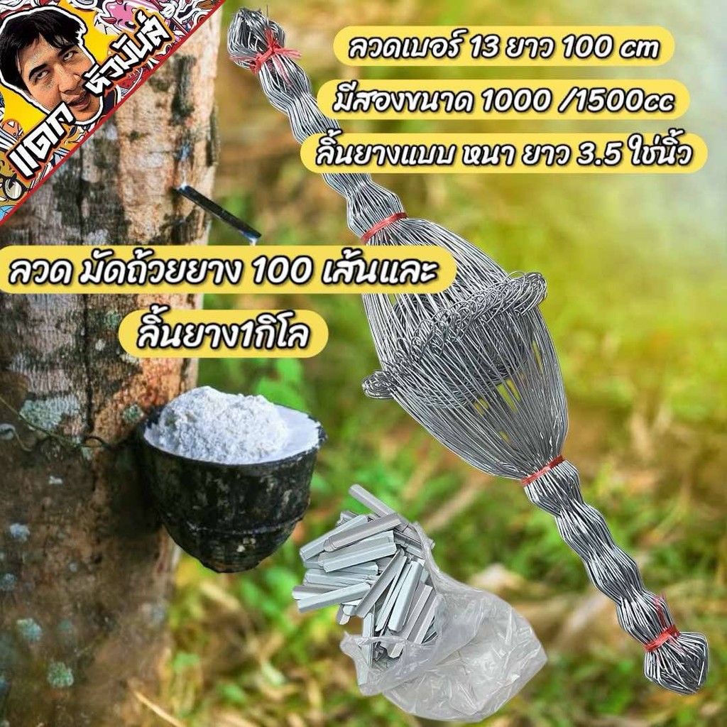 สินค้าขายดี ลวดรัดต้นยาง หยักฟันปลาเบอร์13มัดละ100เส้น และลิ้นยาง 1 กิโล แบบหนายาส3.5 นิ้ว ลวดมัดถ้ายยาง ยางพารา ถ้วยยาง