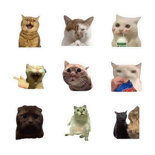 500 ชิ้นแมวตลก Meme GIF สติกเกอร์สร้างสรรค์กันน้ําแมว Emoji คอมพิวเตอร์สติกเกอร์ตกแต่งของขวัญ