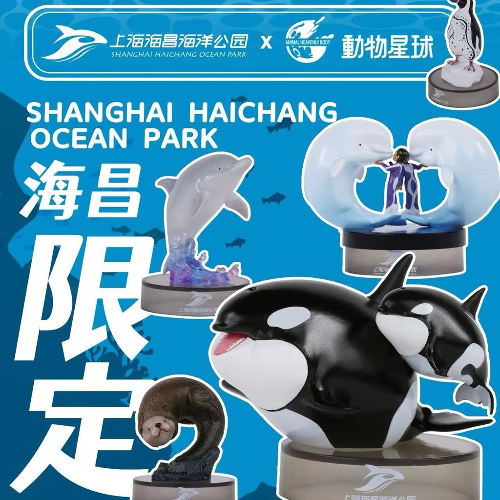 Animal Planet Heart Wide Body Fat Series Mystery Box Shanghai Chang Park Dolphin Killer Whale Sea Otter Beluga Killer Whale Doctor Mother Child Penguin Polar Bear Dolphin Mystery Box Per