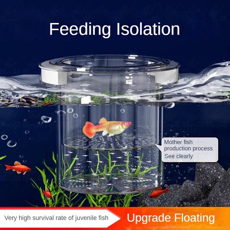 ปลาลอยกล่องฟักกล่องแยกถังผสมพันธุ์ห้องคลอดปลาตัวเมีย