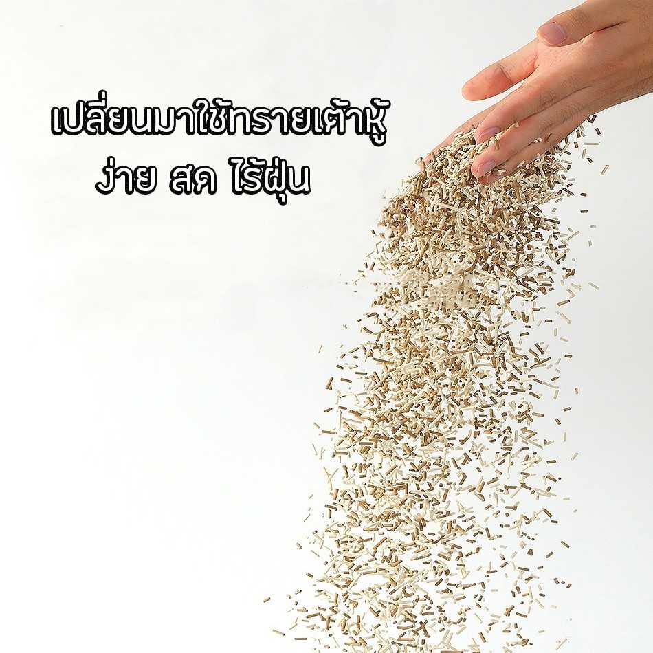 รูปภาพ 3