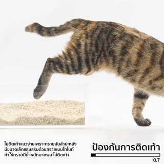 PIDAN Mixed Cat Litter (Cassava + Tofu)ทรายแมวจากมันสำปะหลัง 100% ไร้สารเคมี2.4กิโล เก็บกลิ่นดีที่สุดทิ้งลงชักโครกได้