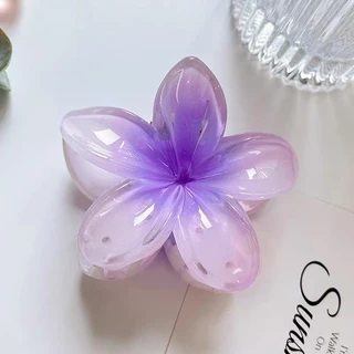 Mini shop🌸พร้อมส่ง🌸เครื่องประดับผม ารักเกาหลีสไตล ์ วันหยุดผู ้ หญิงมัลติฟังก ์ ชั ่ อุปกรณ เสริมผม กิ๊บติดผม (TM-3)