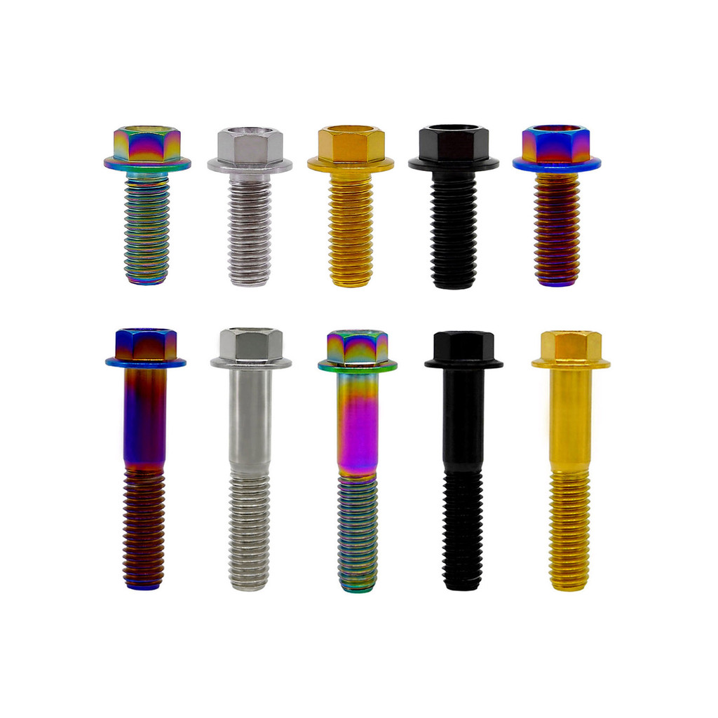 RISON สกรูไททาเนียม M6x1.0x10 สำหรับจักรยานและรถจักรยานยนต์ หัวแปลน.HEX