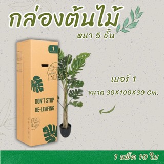 🎁B7_Box🎁
 กล่องลูกฟูก เบอร์ 1 ขนาดยาว หนา 5 ชั้น ใส่ต้นไม้ (จำนวน 5 ใบ)
