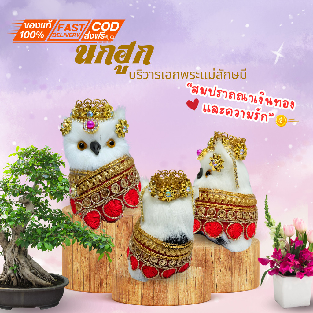 บูชา นกฮูกถวายพระแม่ลักษมี เสริมมิความร่ำรวยเเละความรัก นกฮูกเเบบขนน่ารัก