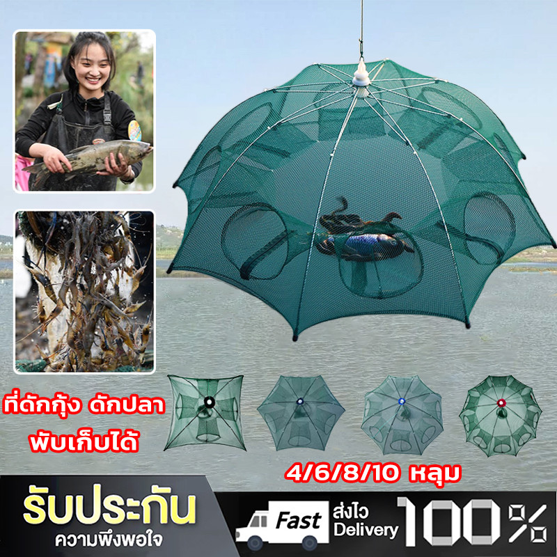 Daywalkers ที่ดักปลา ดักกุ้ง ที่ดักกุ้ง 4 6 8 10 ช่อง มุ้งดักปลา มุ้งดักกุ้ง ที่ดักกุ้งฝอย ตาข่ายดักปลา