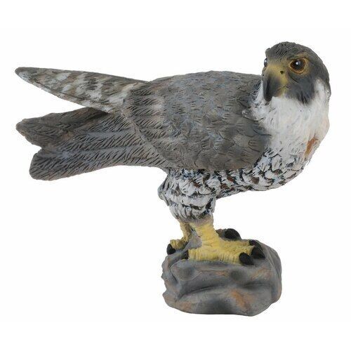 Collecta Wildlife รุ่น 88399 - ตุ๊กตาของเล่นตุ๊กตา Peregrine Falcon