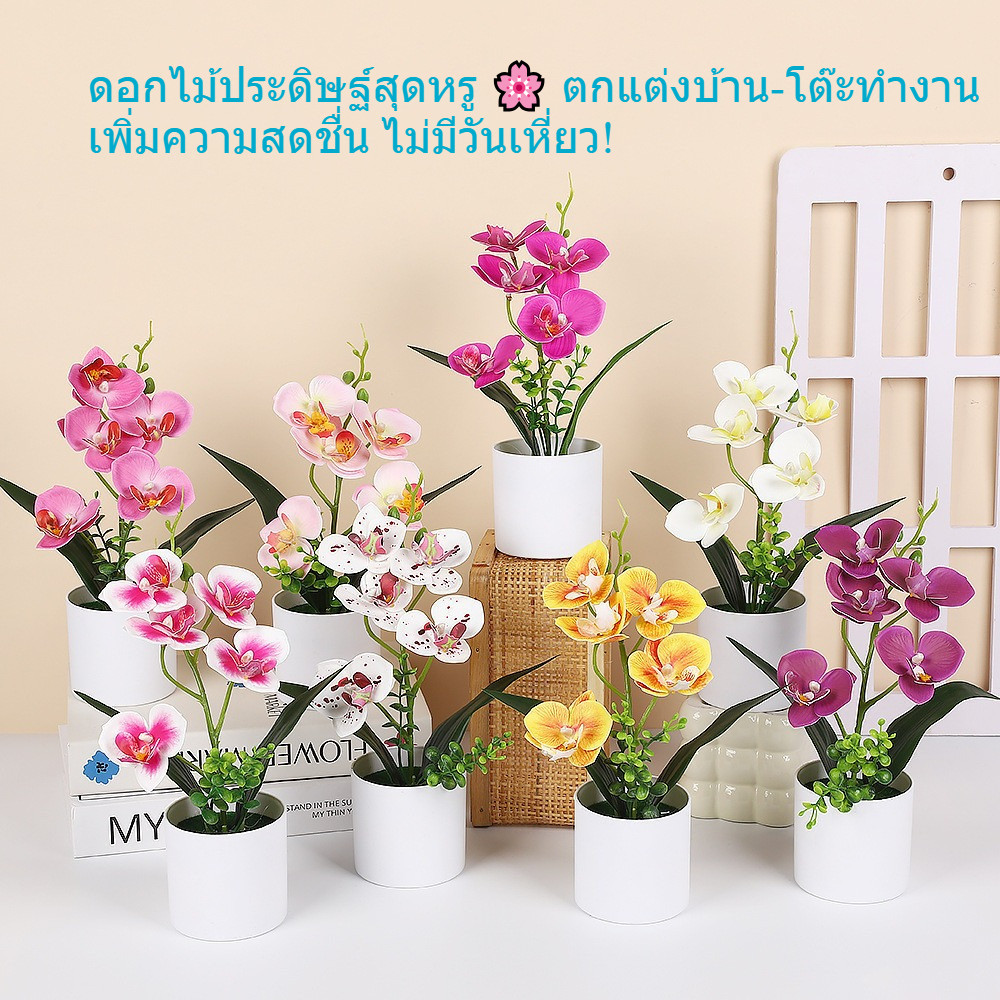 27ซม ดอกกล้วยไม้ประดิษฐ์ในกระถาง ตกแต่งบ้าน ต้นไม้ปลอม ของตกแต่งโต๊ะทำงาน สไตล์มินิมอล สวยเหมือนจริง