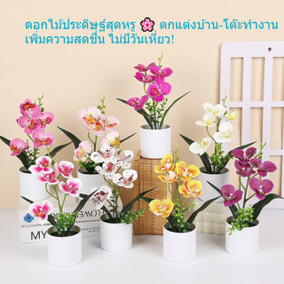 27ซม ดอกกล้วยไม้ประดิษฐ์ในกระถาง ตกแต่งบ้าน ต้นไม้ปลอม ของตกแต่งโต๊ะทำงาน สไตล์มินิมอล สวยเหมือนจริง
