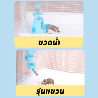 ขวดน้ํา 3-in-1 ขวดน้ํากระต่าย ขวดน้ําแฮมสเตอร์ ตู้กดน้ําอัตโนมัติ ขวดน้ําสัตว์เลี้ยง
