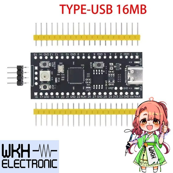 EWR27 Raspberry RP2040 16MB Pi Pico RP 2040 ARM Microcontroller Board Micropython