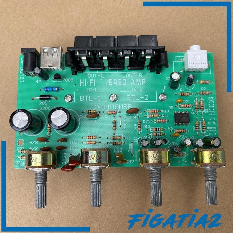 [Figatia2] Dx0409 100W Channel Digital Power Audio Stereo Amplifier Board DC 12V