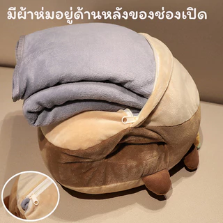COD ตุ๊กตาผ้าห่ม คาปิบาร่า ทรงข้าวปั้น หมอนผ้าห่ม 3in1 แบบซุกมือได้ เก็บผ้าห่มด้านหลัง Capybara