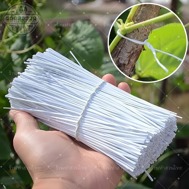 ลวดรัดกิ่งไม้ ลวด ลวดรัด ลวดเหล็กเคลือบพลาสติก ลวดใช้ตกแต่งต้นไม้ มัดละ 1000 เส้น ยาว 10ซม - รูปที่ 4