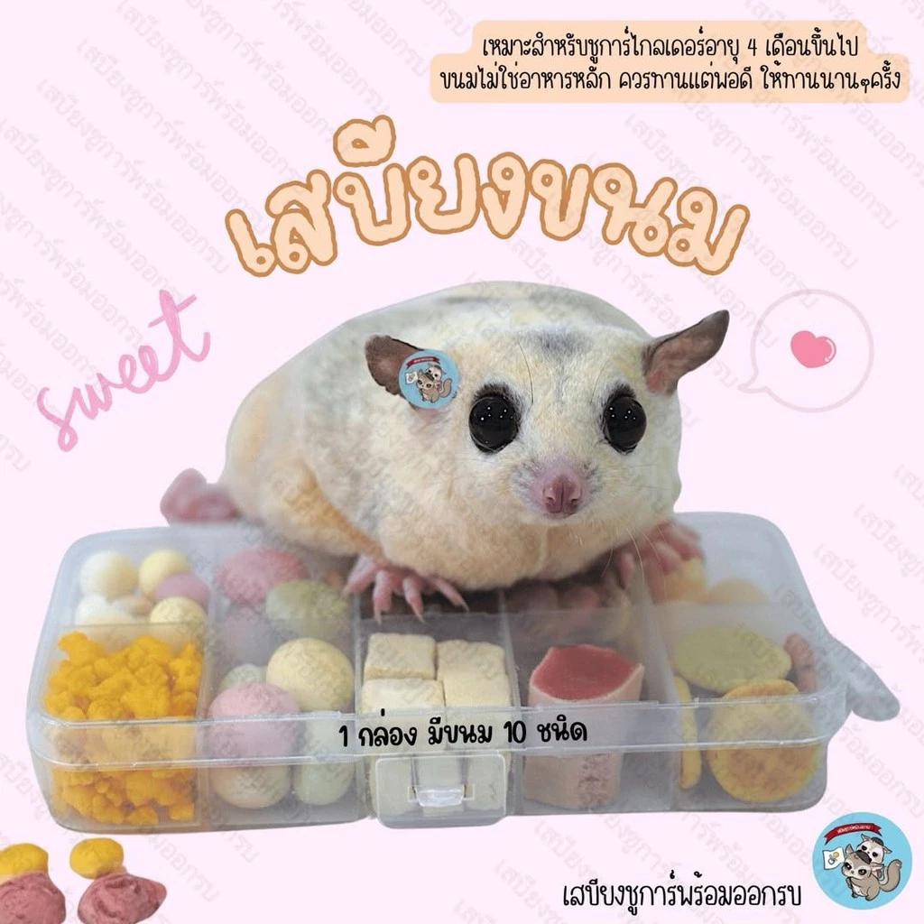( เสบียงขนม ) เสบียงขนม ชูการ์ ขนม สัตว์เล็ก สัตว์ฟันแทะ ชูการ์ กระรอก ดอร์เมาส์ แฮมสเตอร์ บุชเบบี้ ลิง
