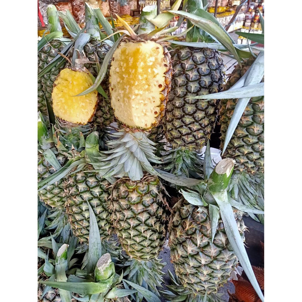 สัปรดศรีราชา สดอร่อยคัดให้ถึงมือ ขายส่ง3ลูก และปลีก1ลูก ลูกละประมาณ1กก. หอมหวานอร่อย ต้องสัปรดศรีราชา ซื้อไปขายไปทานได้ - รูปที่ 4