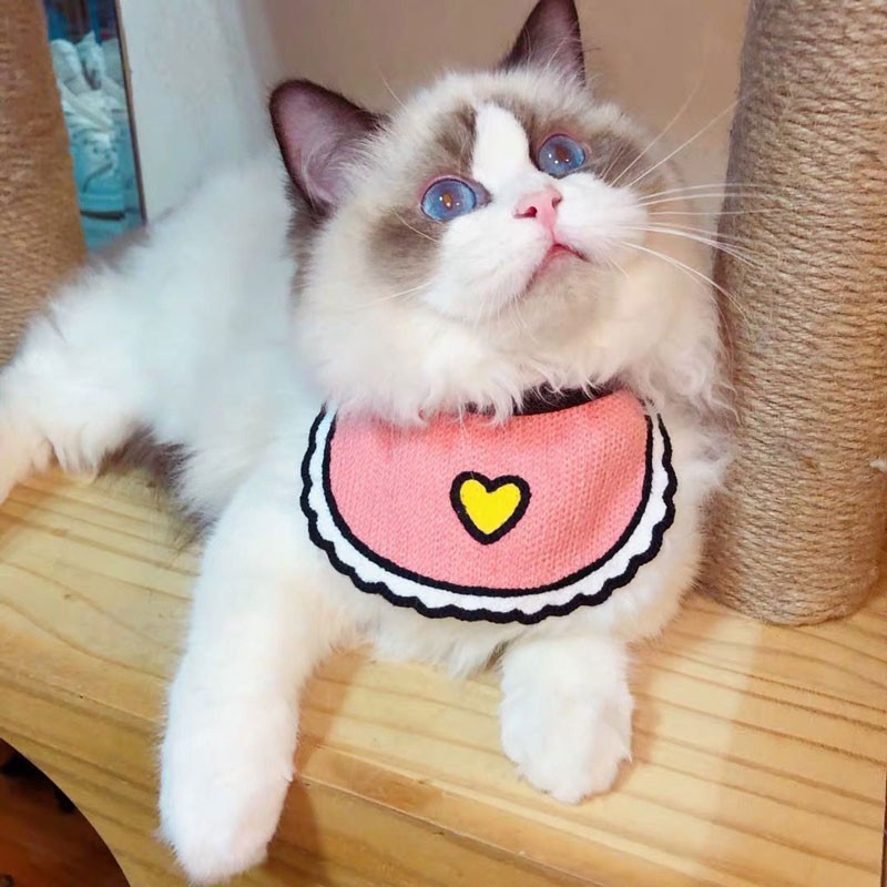 สินค้าอยู่ในไทย พร้อมส่ง ปลอกคอแบบผ้าลายน่ารัก