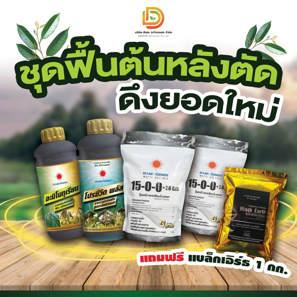 #ชุดพื้นต้นหลังตัด ดึงยอดใหม่ #ดวงตะวันเพชร (อะมิโนทุเรียน+โปรซีวิด+15-0-0/2kg +แถม แบล็กเอิร์ท 1 kg)