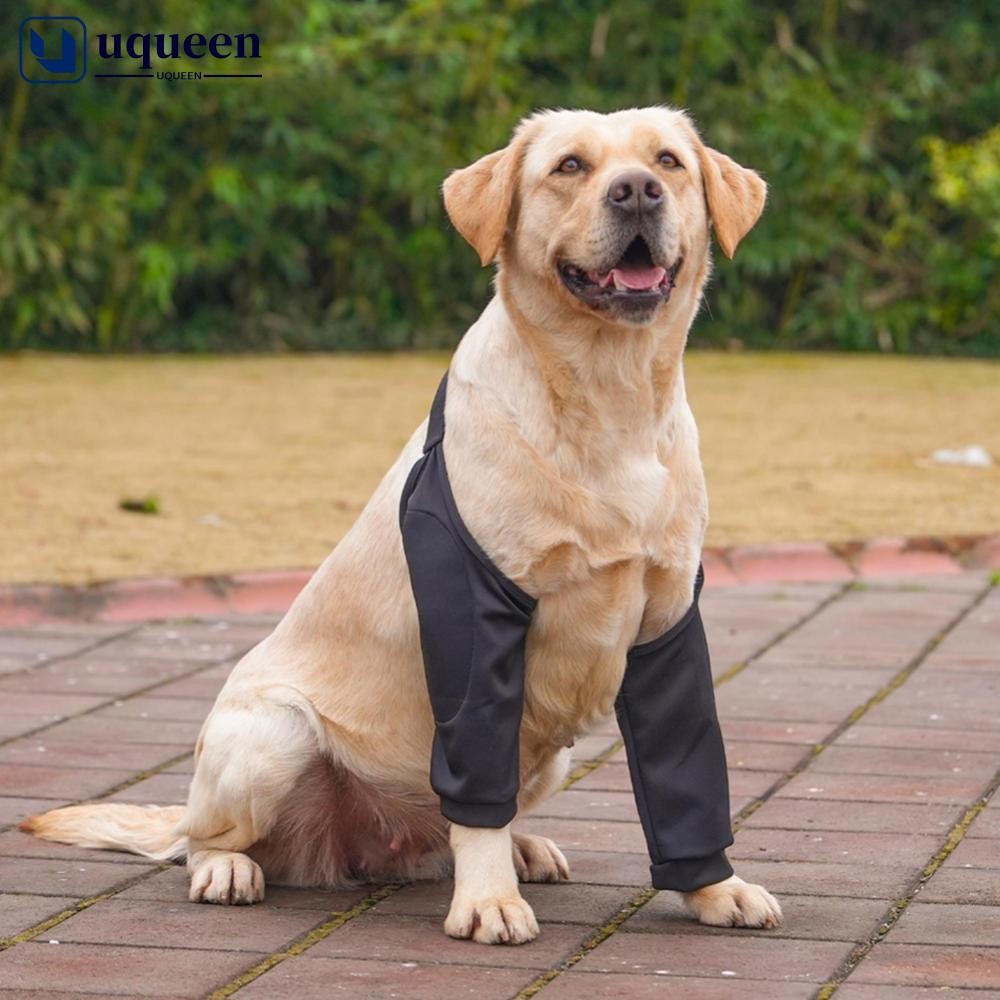 UQUEEN สุนัขข้อศอกรั้ง Protector Anti-Lick Wound นุ่ม Breathable บรรเทาอาการปวดไหล่สนับสนุนข้อศอกแขน Pads สําหรับ Canine ข้อศอก K1U1