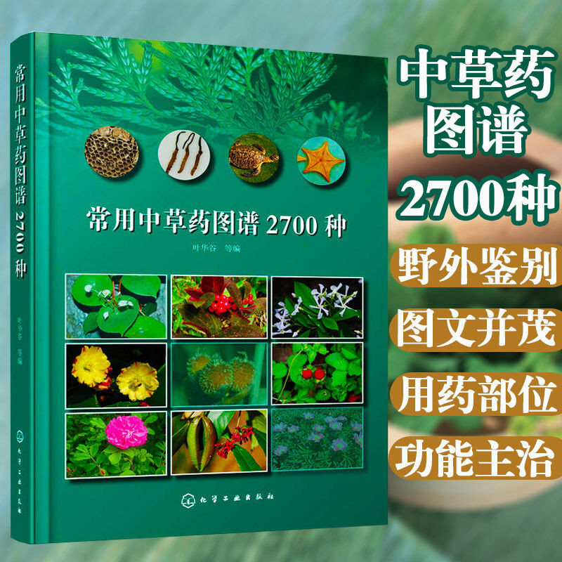 อย่างเป็นทางการทั่วไปใช้ยาสมุนไพรจีน แผนที่ 2700ชนิดใบ หัวกู่ แพทย์หนังสือแพทย์แผนจีนหนังสือสารานุกร